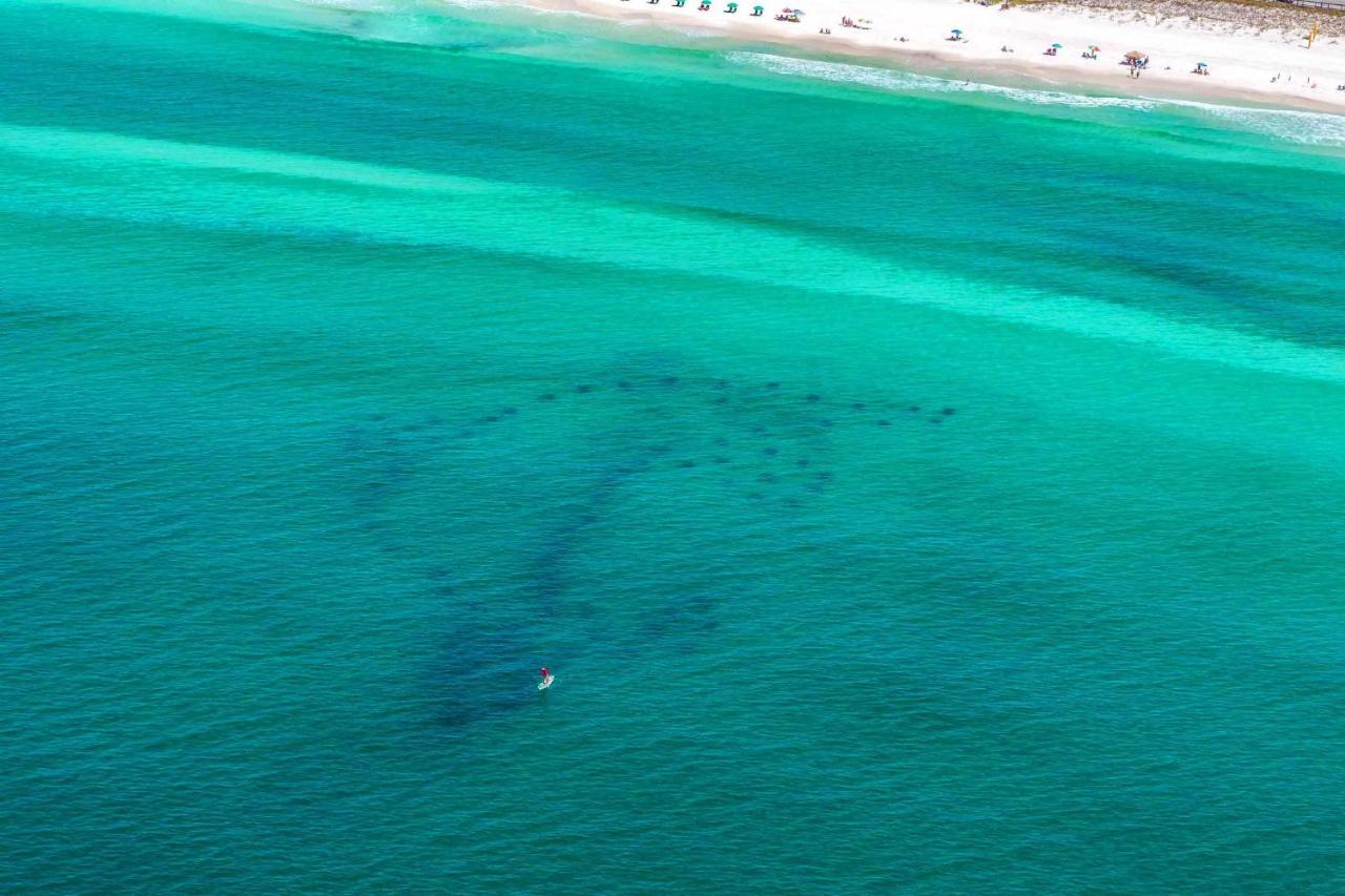 Seascape 38A Appartement Destin Buitenkant foto